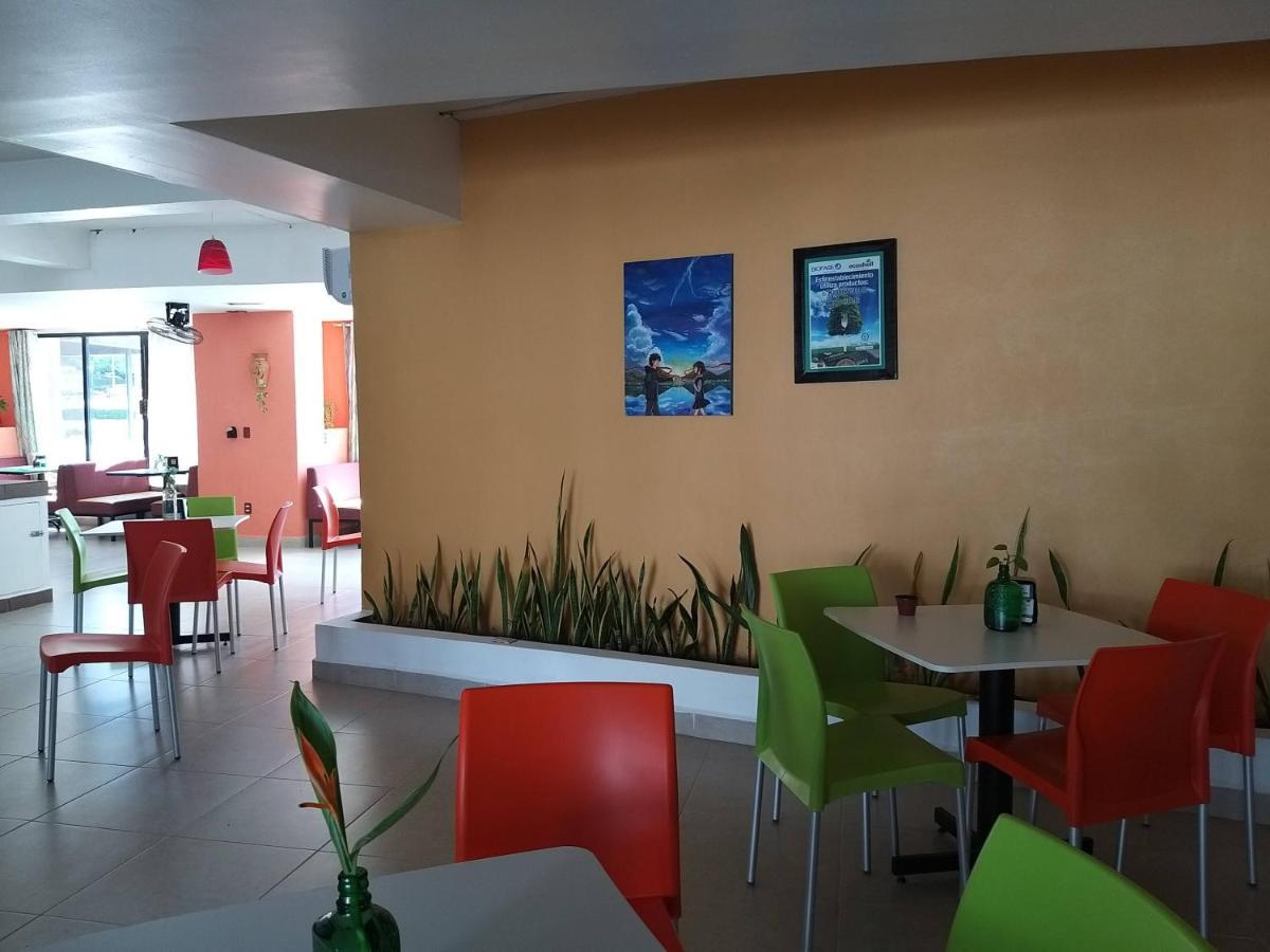 פלנקה Hotel D Marco Exxpres מראה חיצוני תמונה