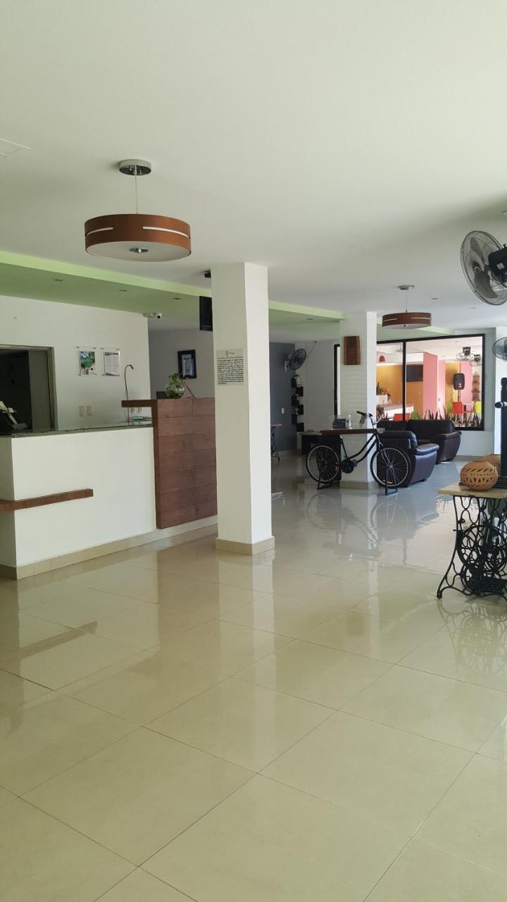 פלנקה Hotel D Marco Exxpres מראה חיצוני תמונה