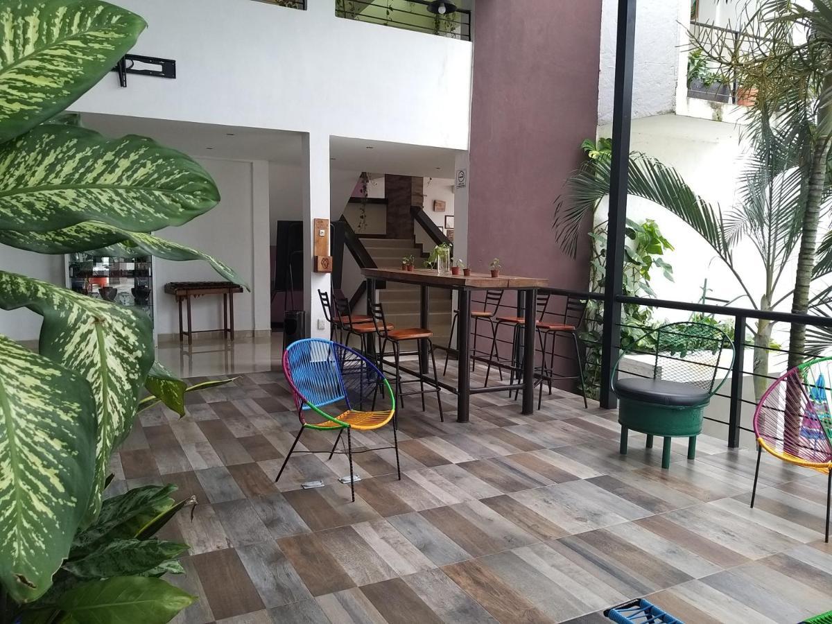 פלנקה Hotel D Marco Exxpres מראה חיצוני תמונה